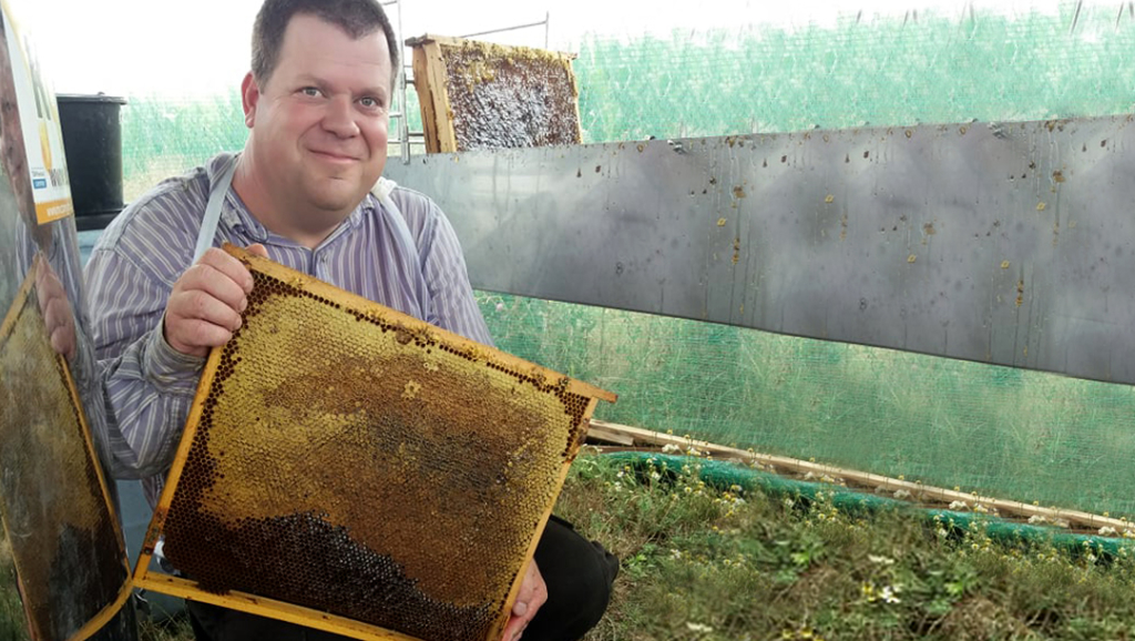 Milyen előnyei vannak a méheknek az emberek számára. A méhészet története