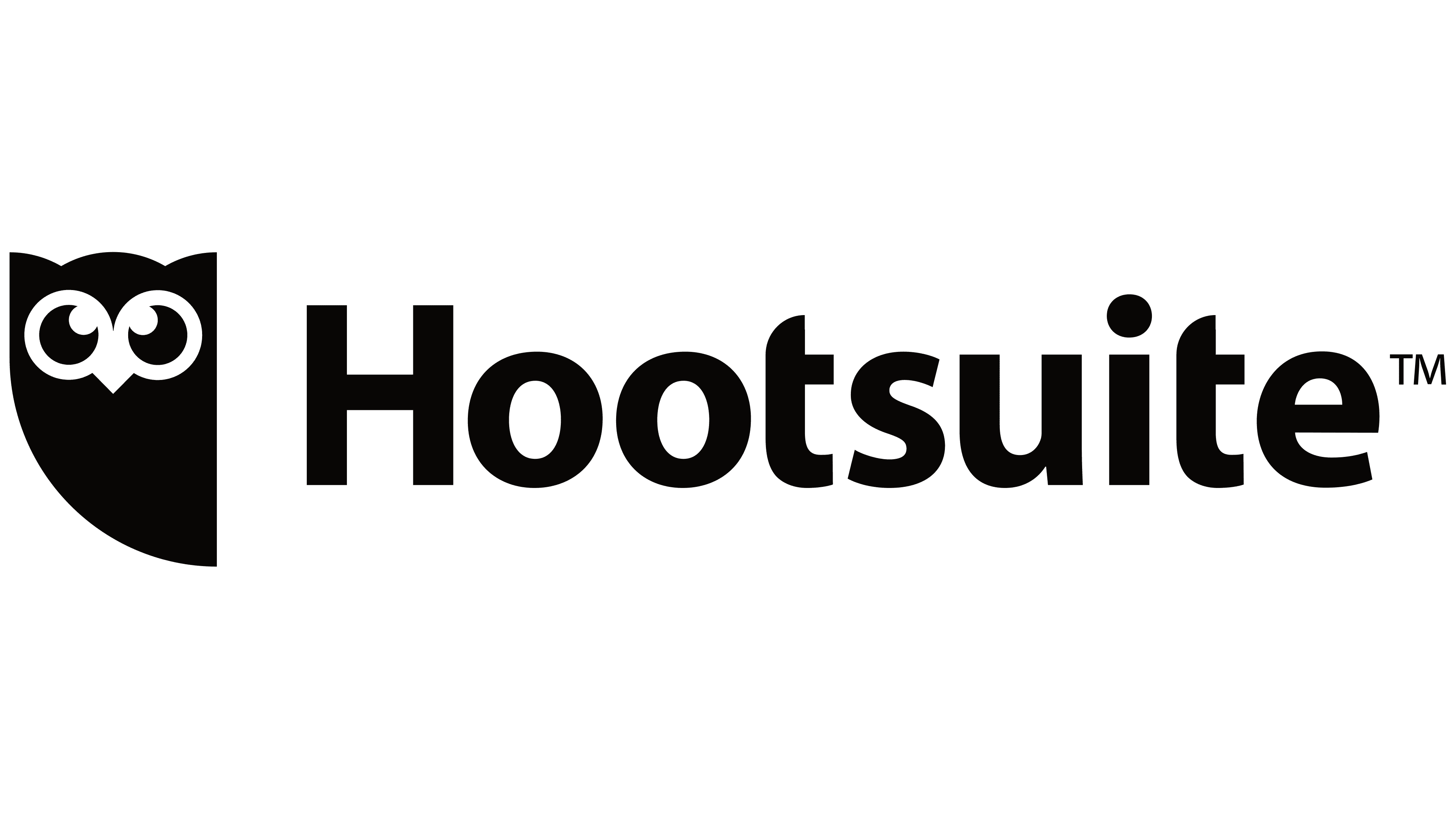 Hootsuite Logo 2014 Present